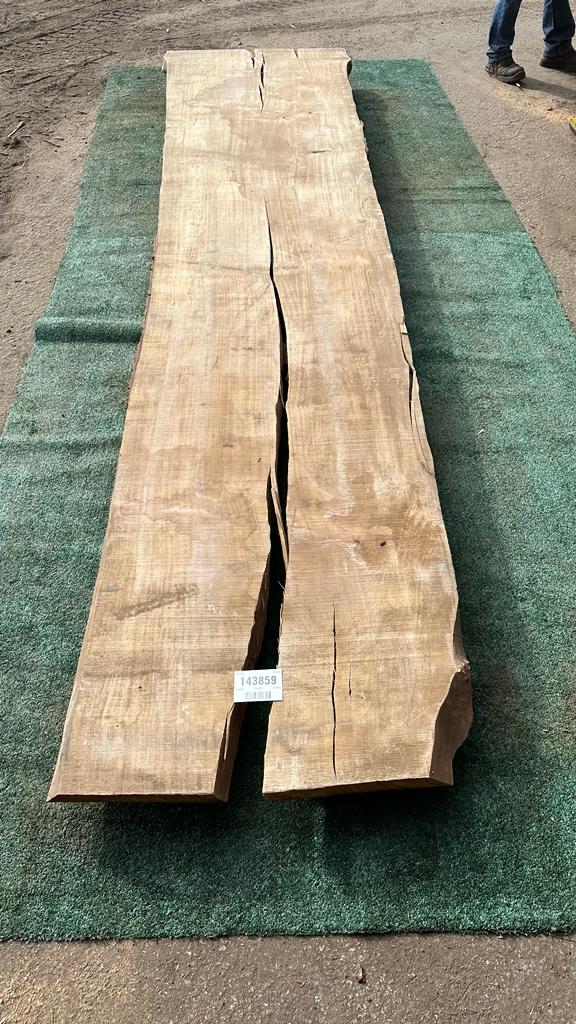 Bay Laurel # 143859