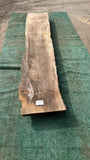 Bay Laurel # 143860