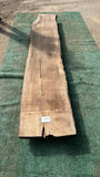 Bay Laurel # 143861