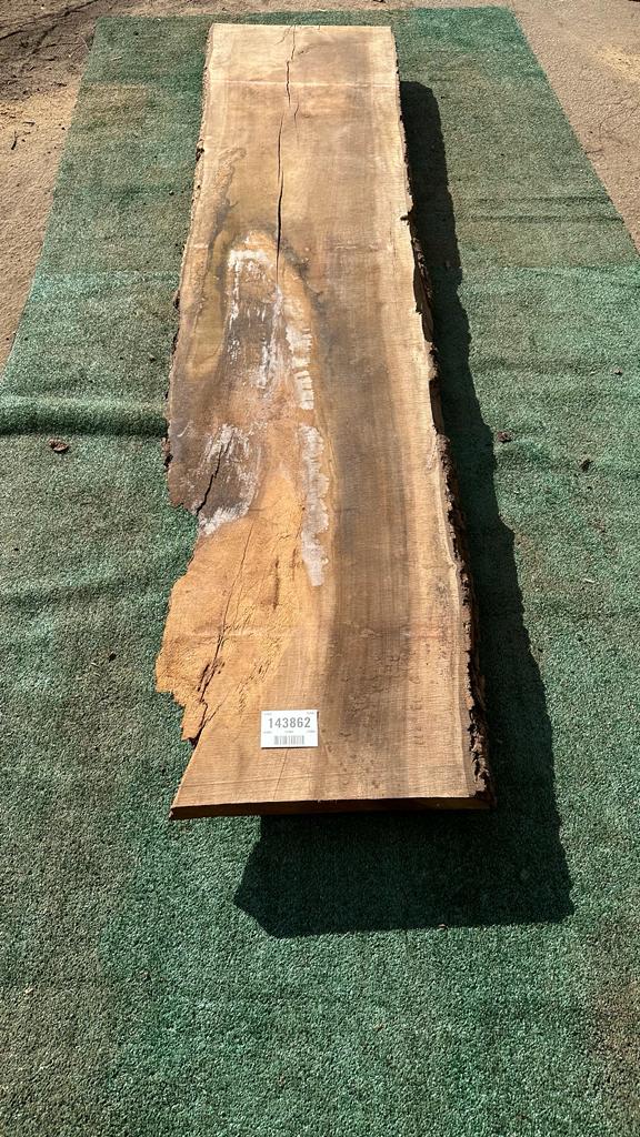 Bay Laurel # 143862