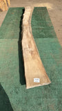 Bay Laurel # 143864