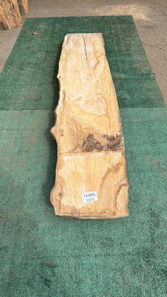 Bay Laurel # 143865