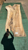 Bay Laurel # 143866