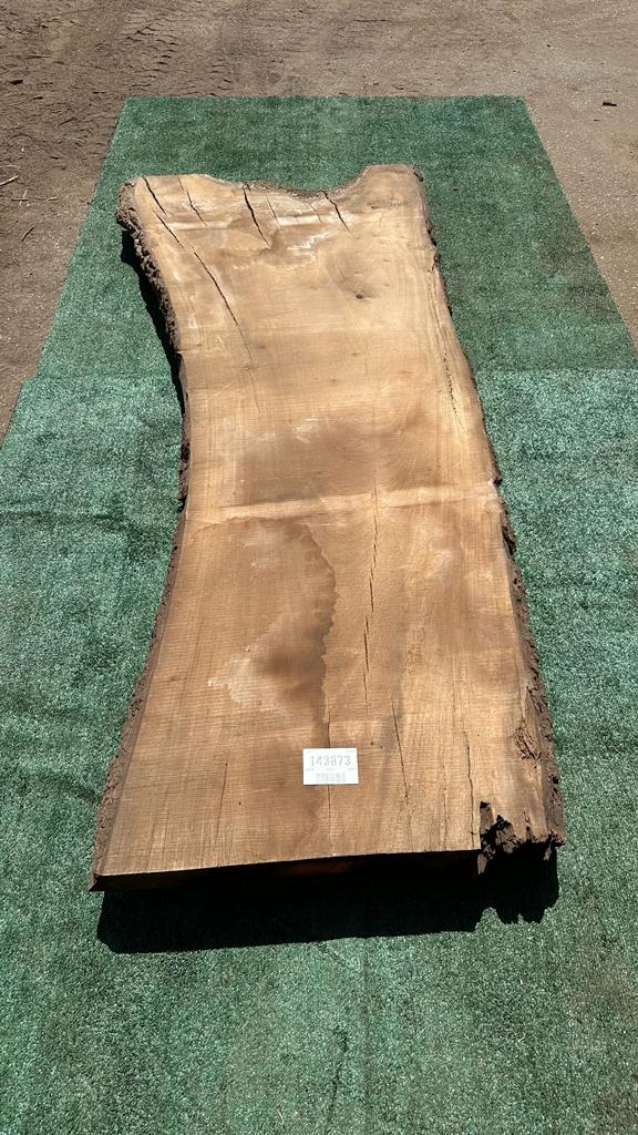 Bay Laurel # 143873