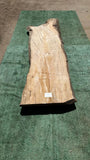 Bay Laurel # 143874