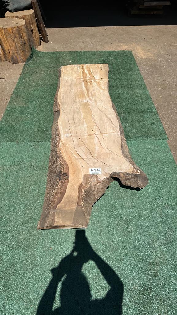 Bay Laurel # 143874