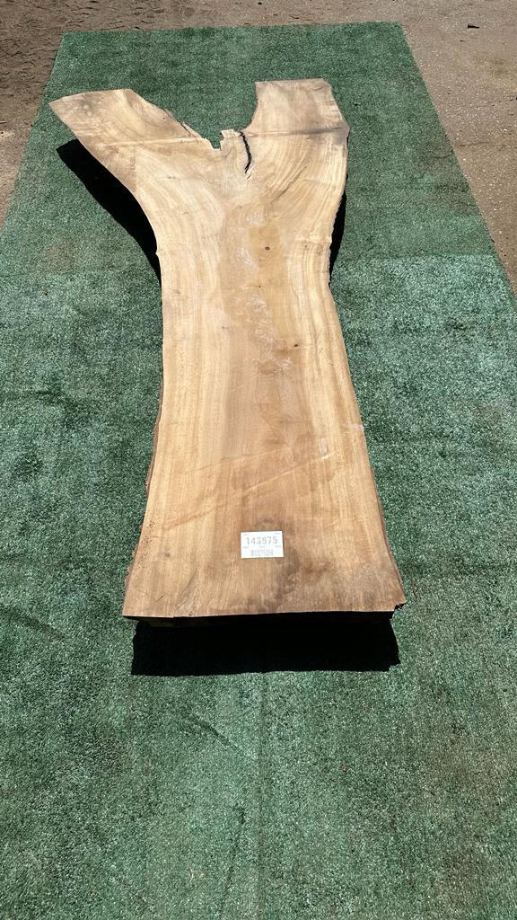 Bay Laurel #143875