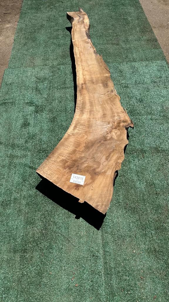 Bay Laurel # 143876