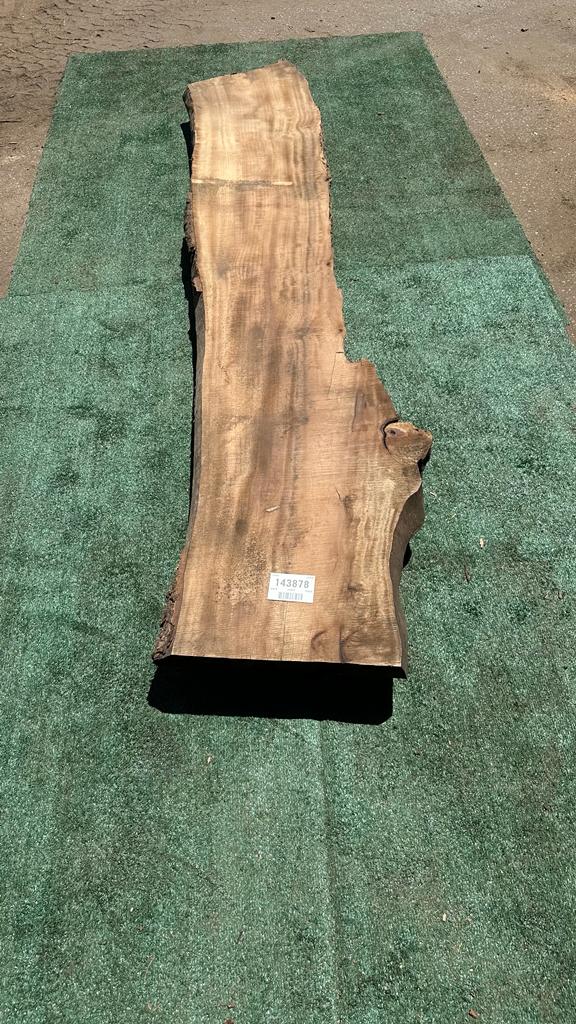Bay Laurel # 143878