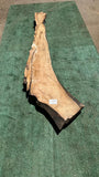 Bay Laurel # 143880