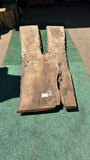 Bay Laurel # 143884