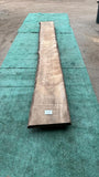 Bay Laurel # 143888