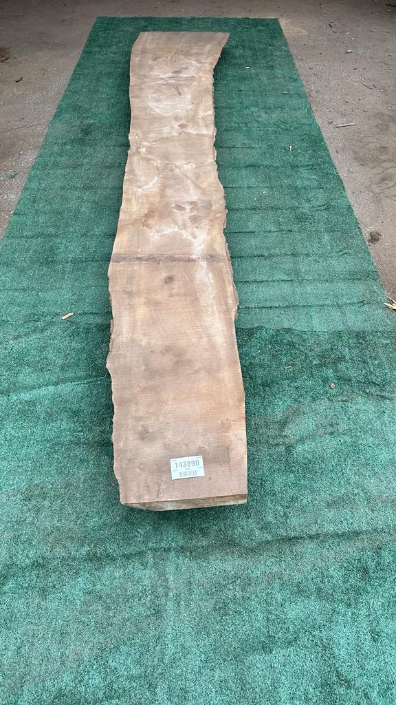 Bay Laurel #143890