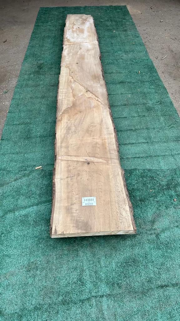 Bay Laurel # 143891
