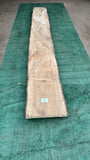 Bay Laurel # 143891