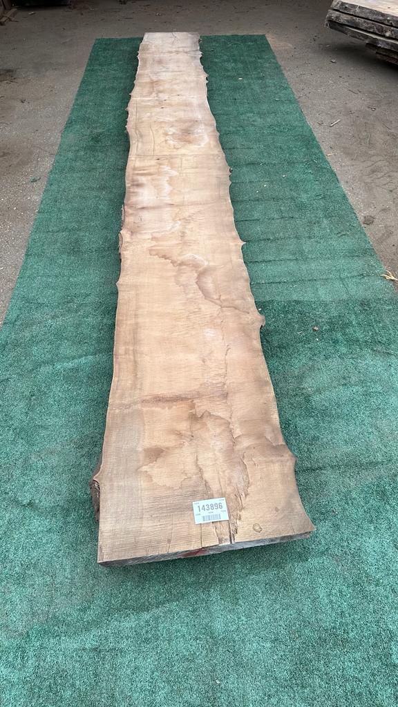 Bay Laurel # 143896