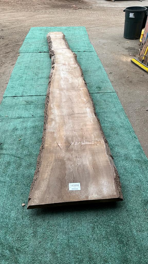 Bay Laurel # 143898