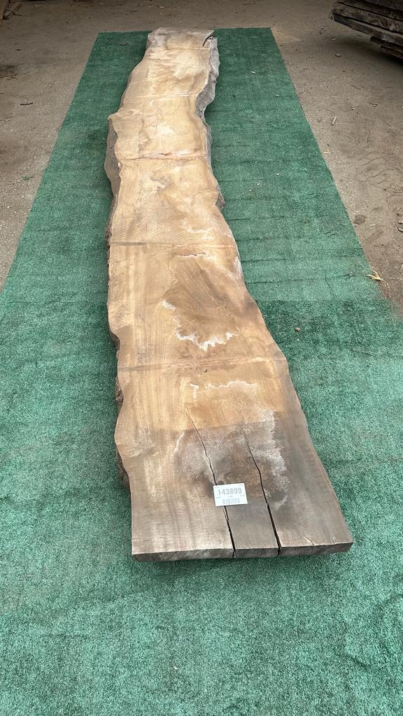 Bay Laurel # 143899
