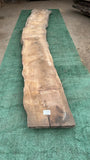 Bay Laurel # 143900