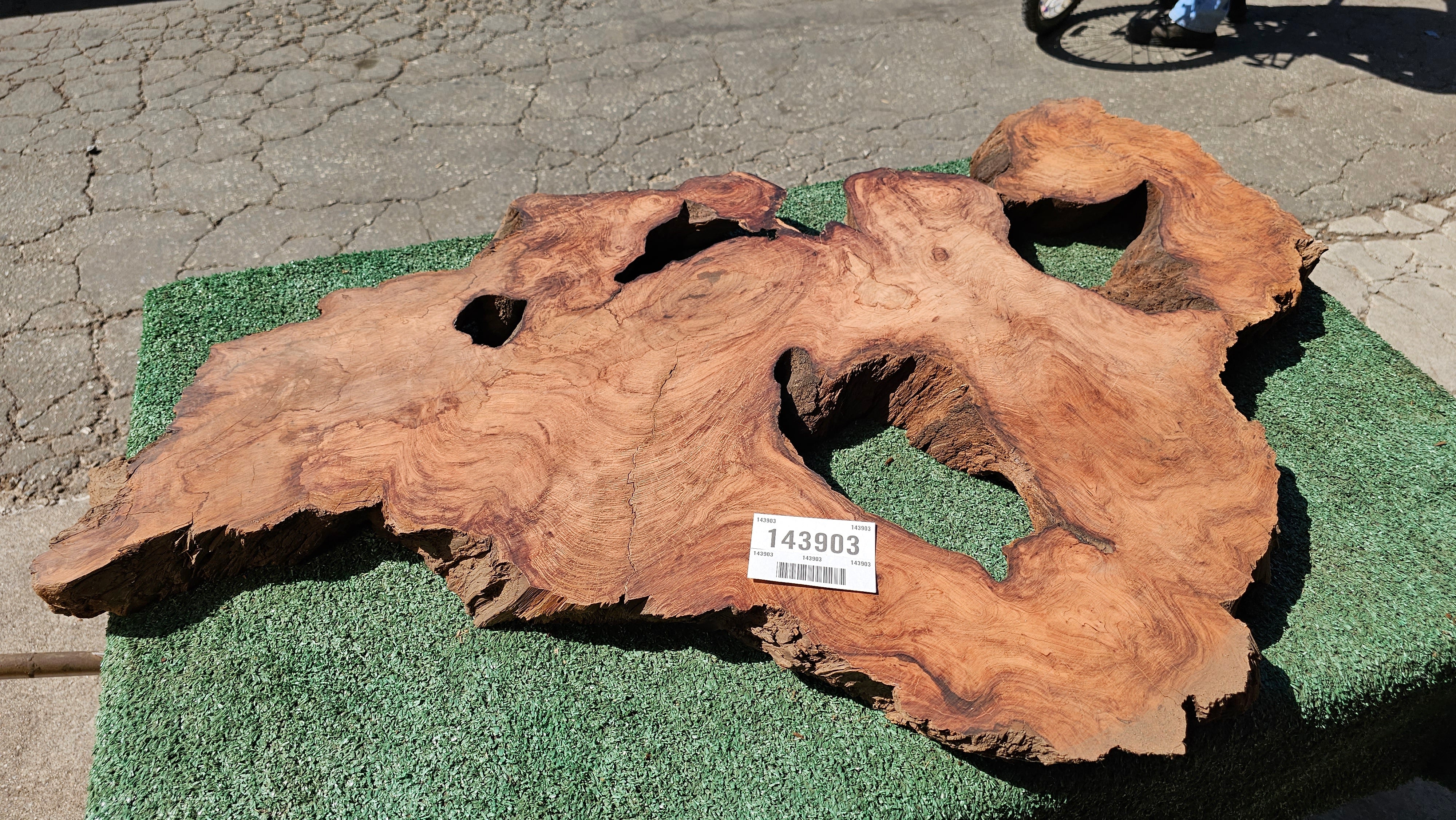 Redwood Burl #143903