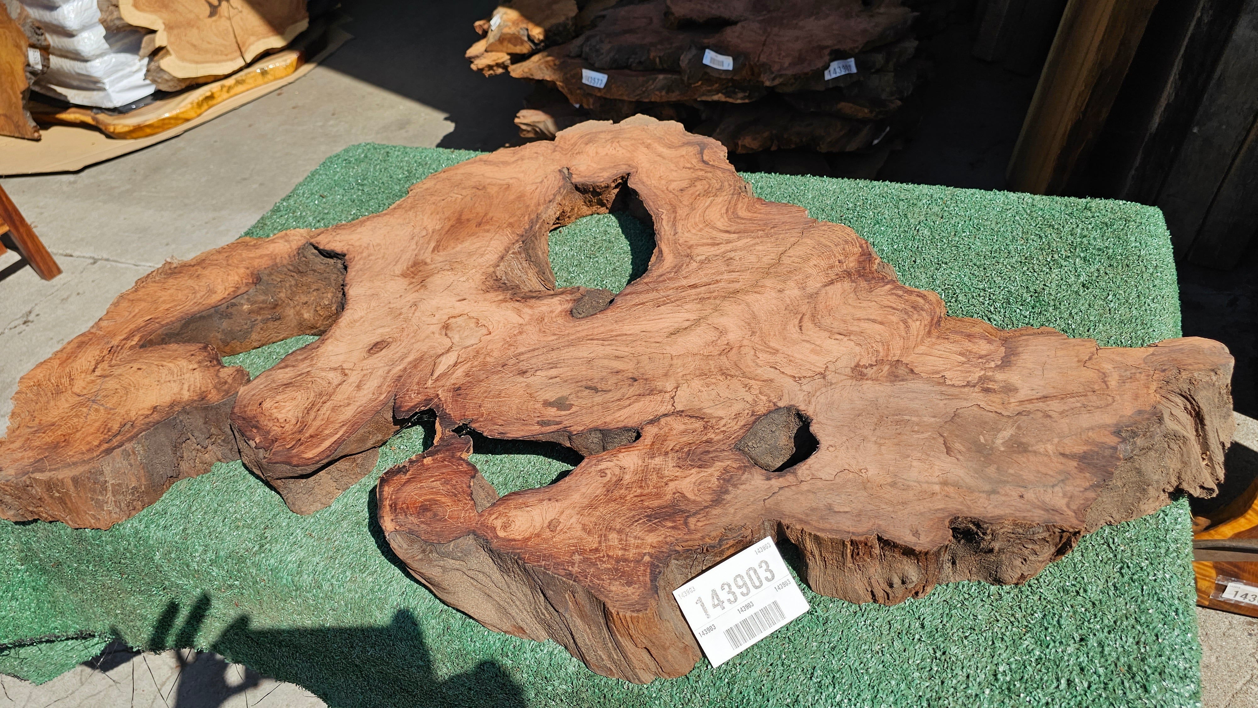 Redwood Burl #143903