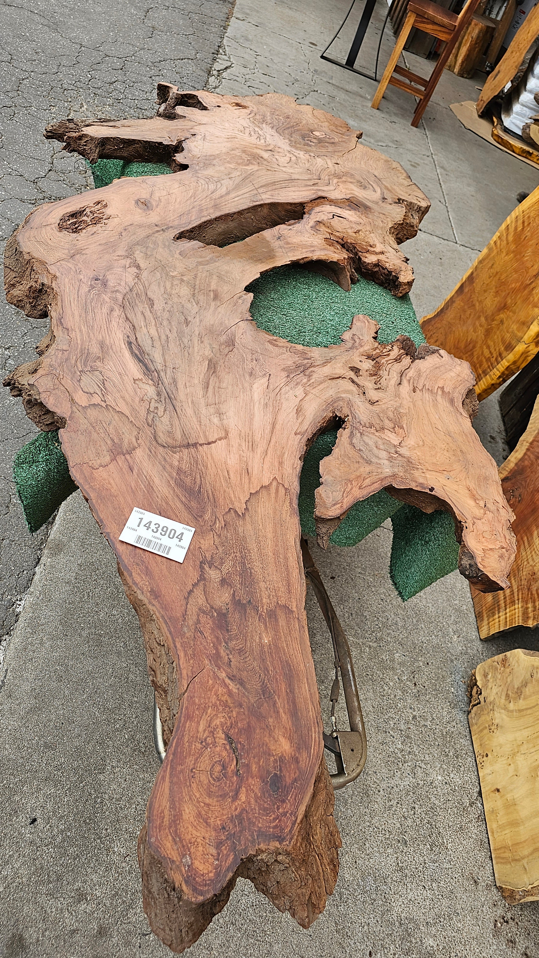 Redwood Burl # 143904