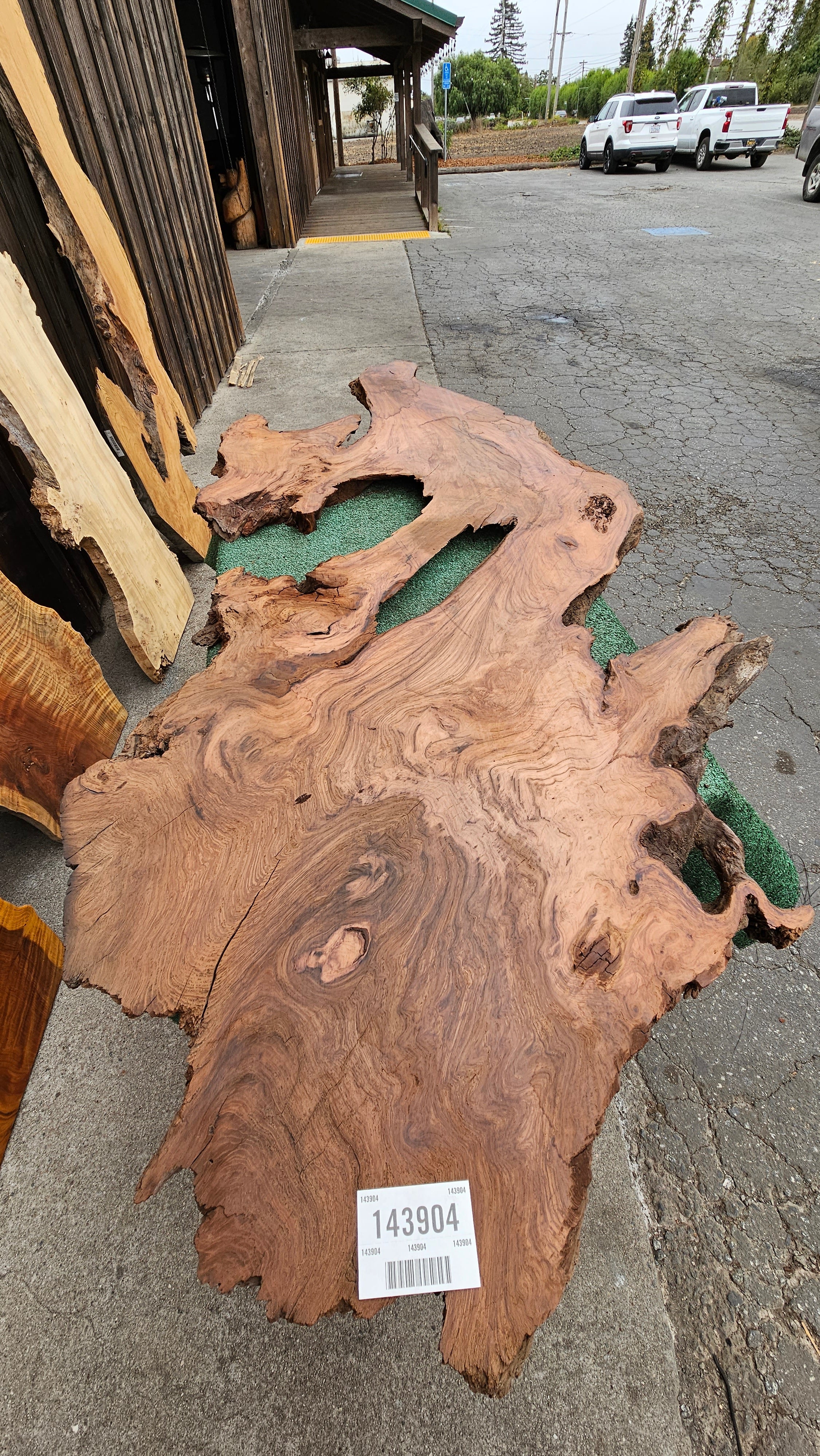 Redwood Burl # 143904