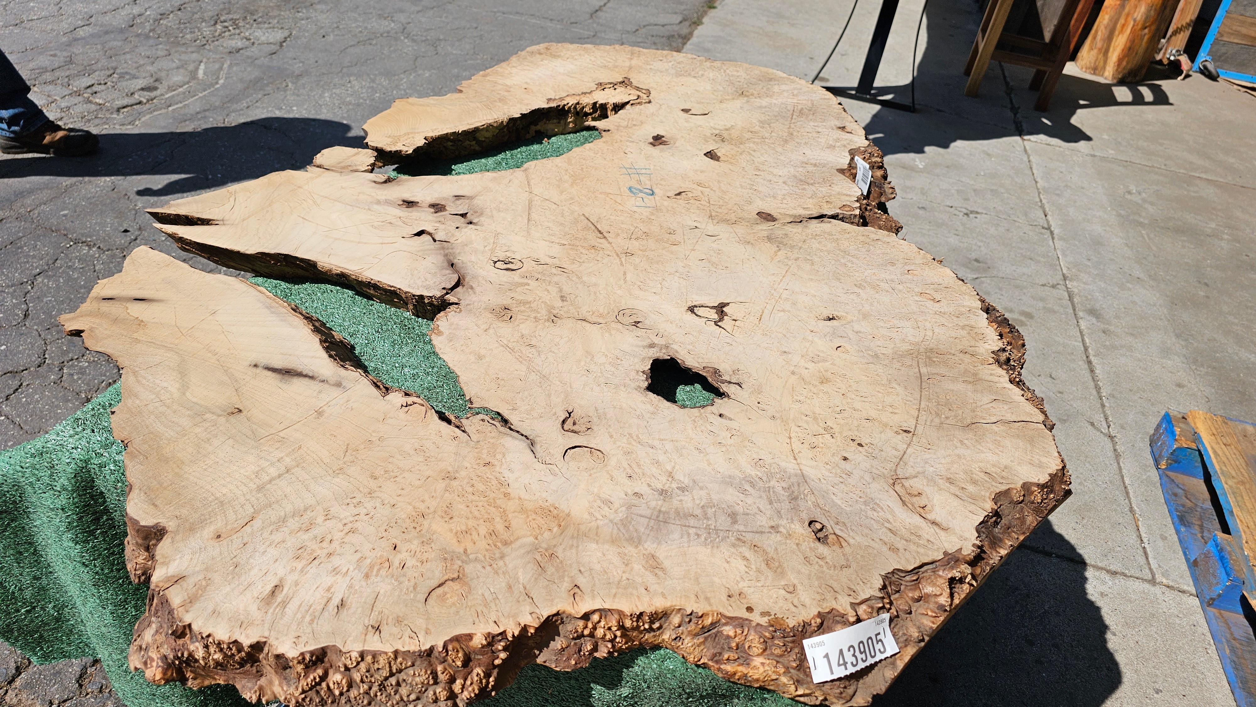 Bay Laurel Burl # 143905