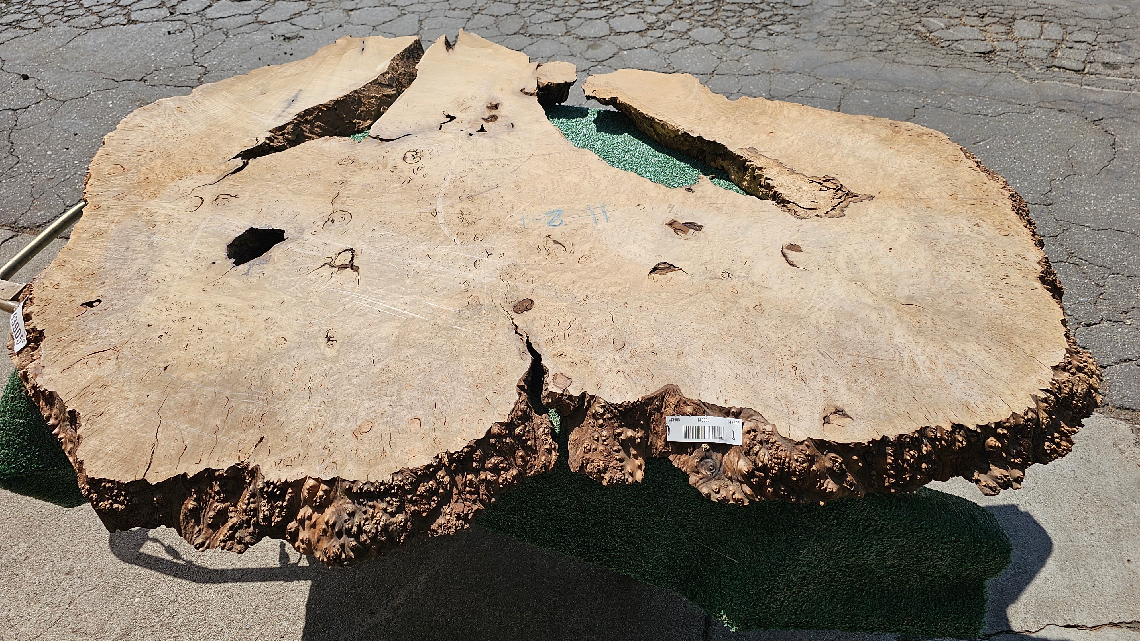 Bay Laurel Burl # 143905