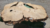 Bay Laurel Burl # 143905