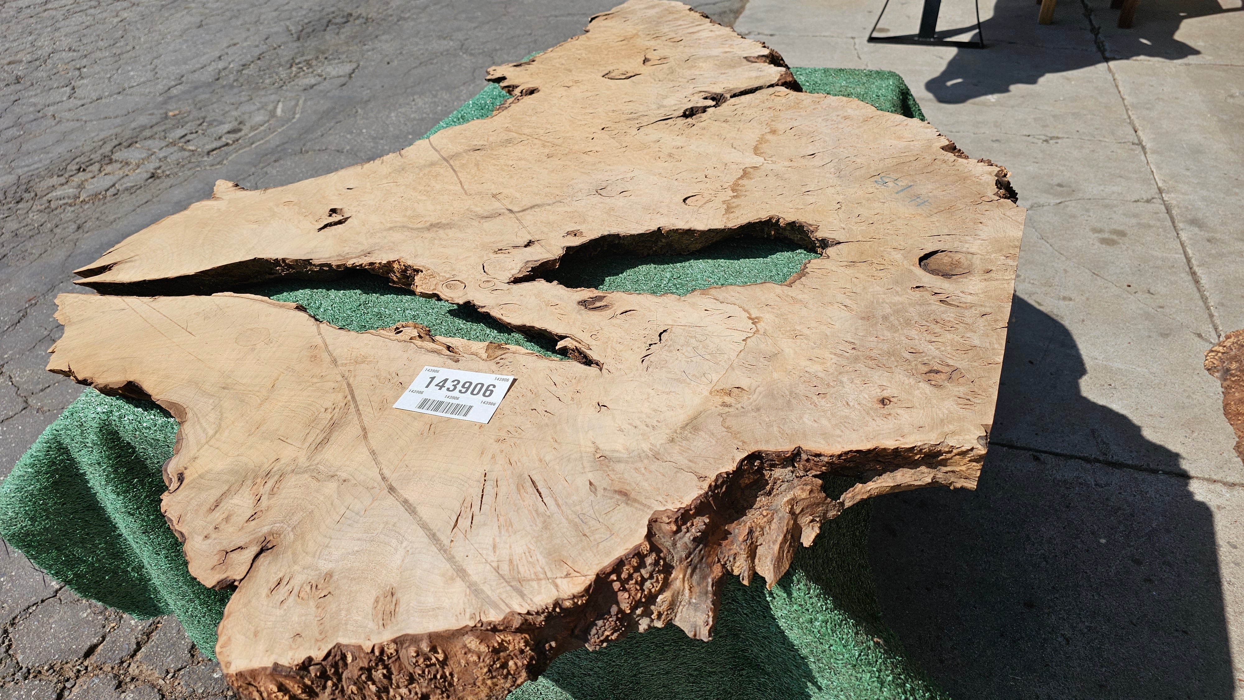Bay Laurel Burl # 143906