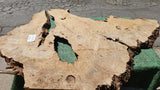 Bay Laurel Burl # 143906