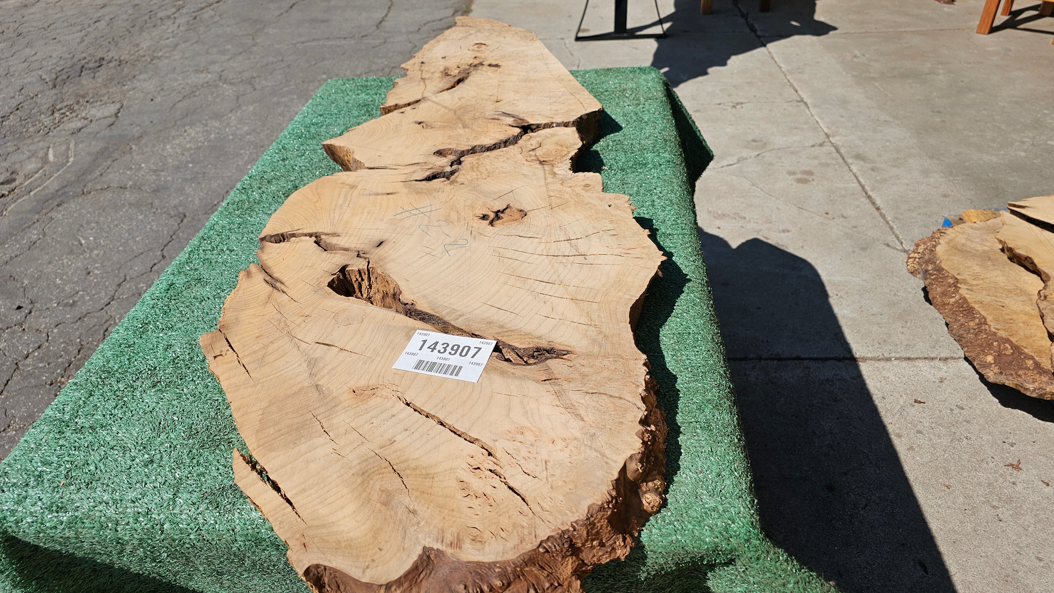 Bay Laurel Burl # 143907