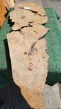Bay Laurel Burl # 143907