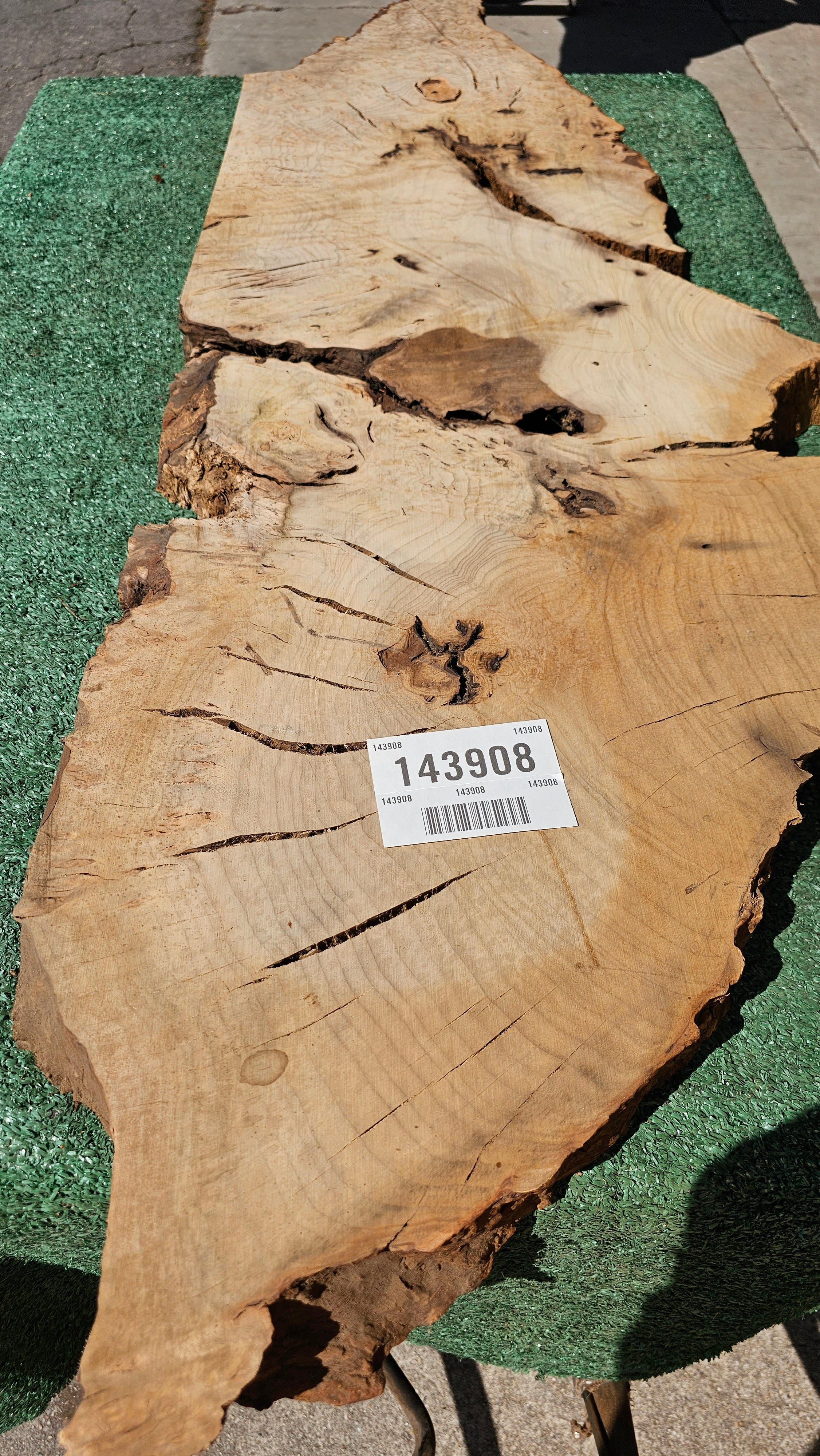 Bay Laurel Burl # 143908