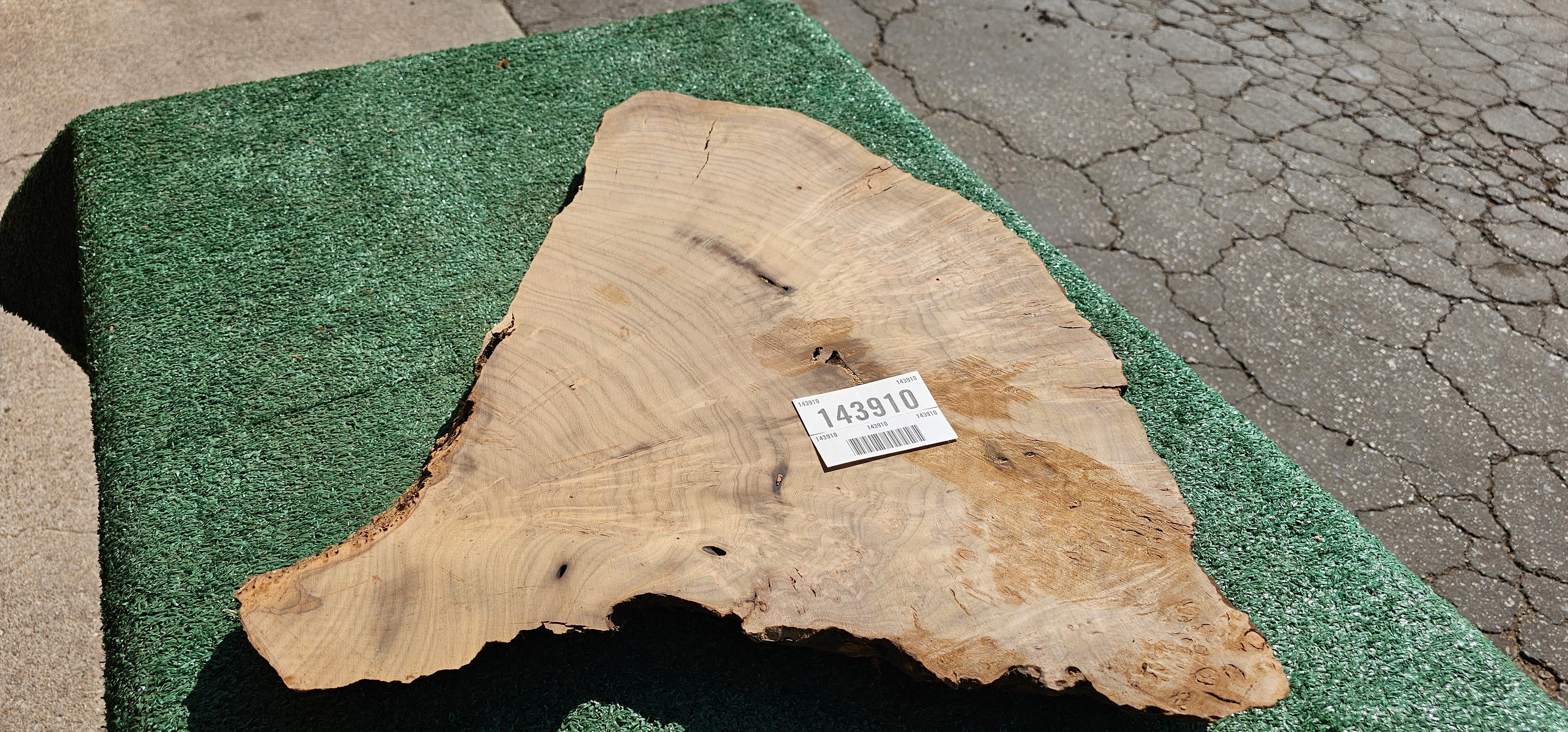 Bay Laurel Burl # 143910