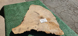 Bay Laurel Burl # 143910