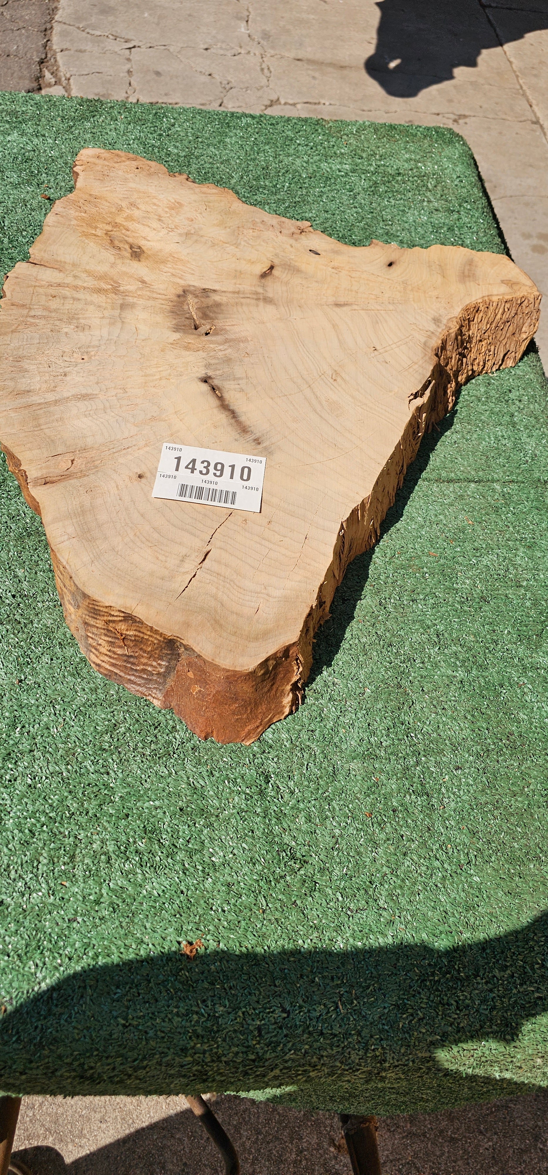Bay Laurel Burl # 143910