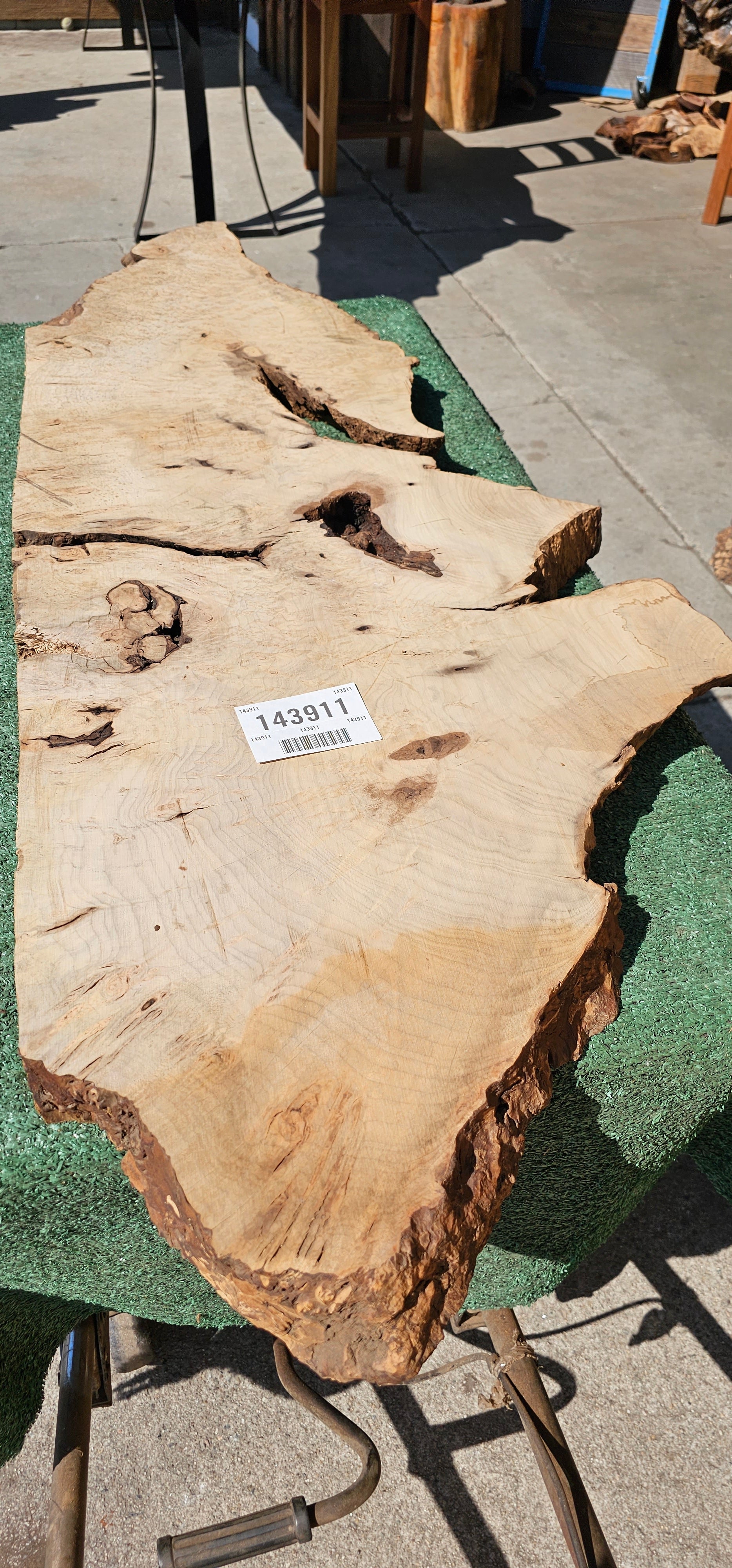 Bay Laurel Burl # 143911
