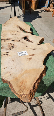 Bay Laurel Burl # 143911