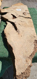 Bay Laurel Burl # 143911
