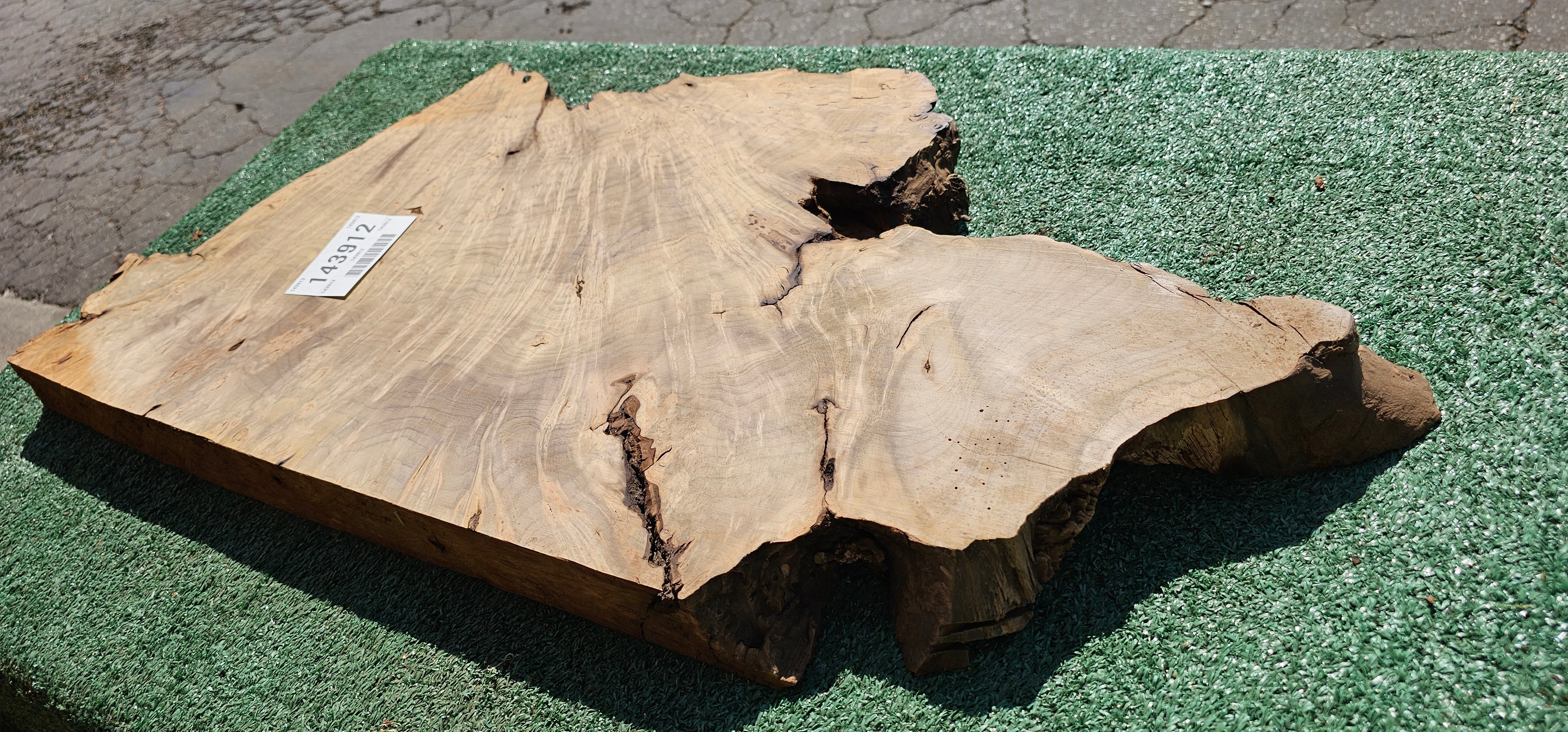 Bay Laurel Burl # 143912