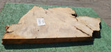 Bay Laurel Burl # 143912