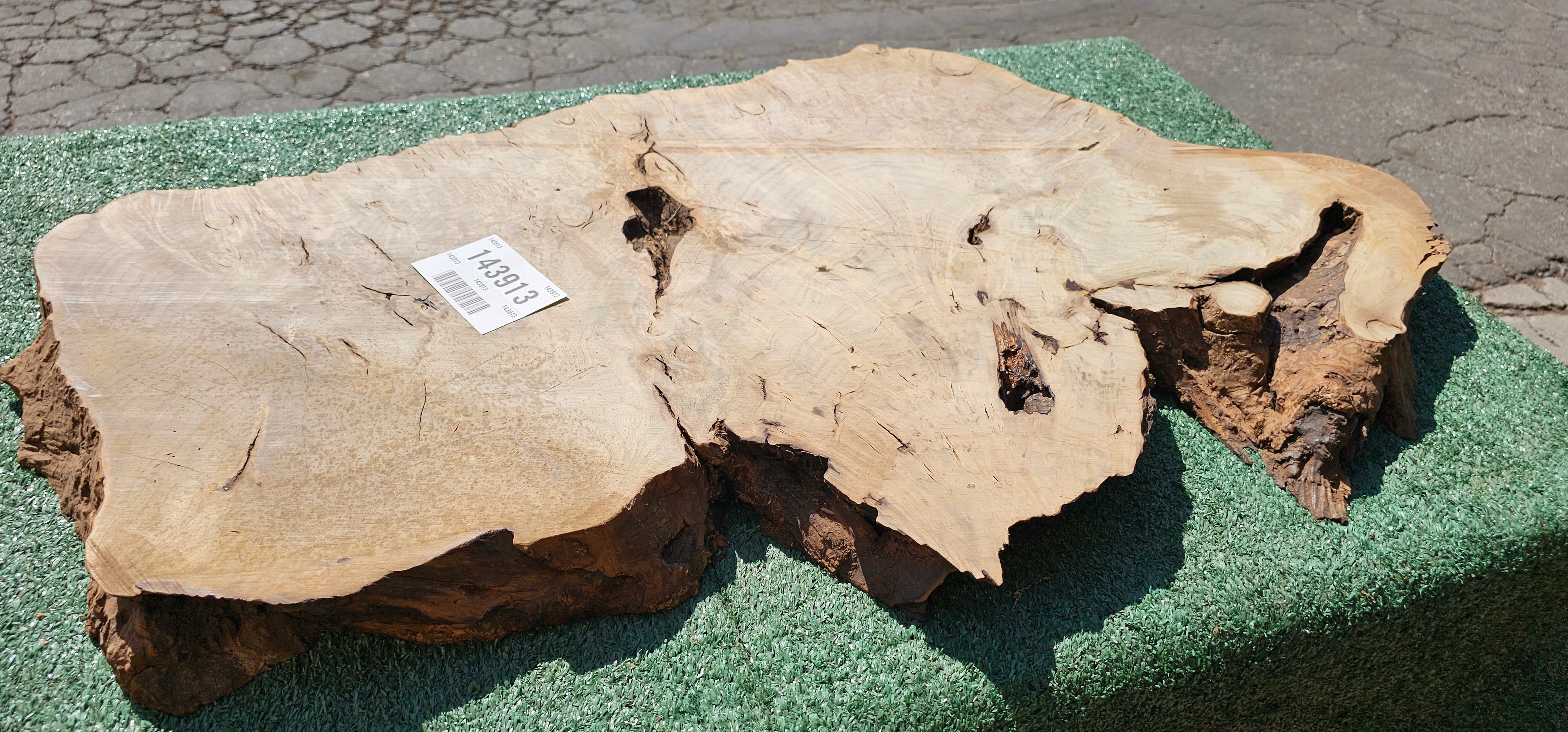 Bay Laurel Burl # 143913