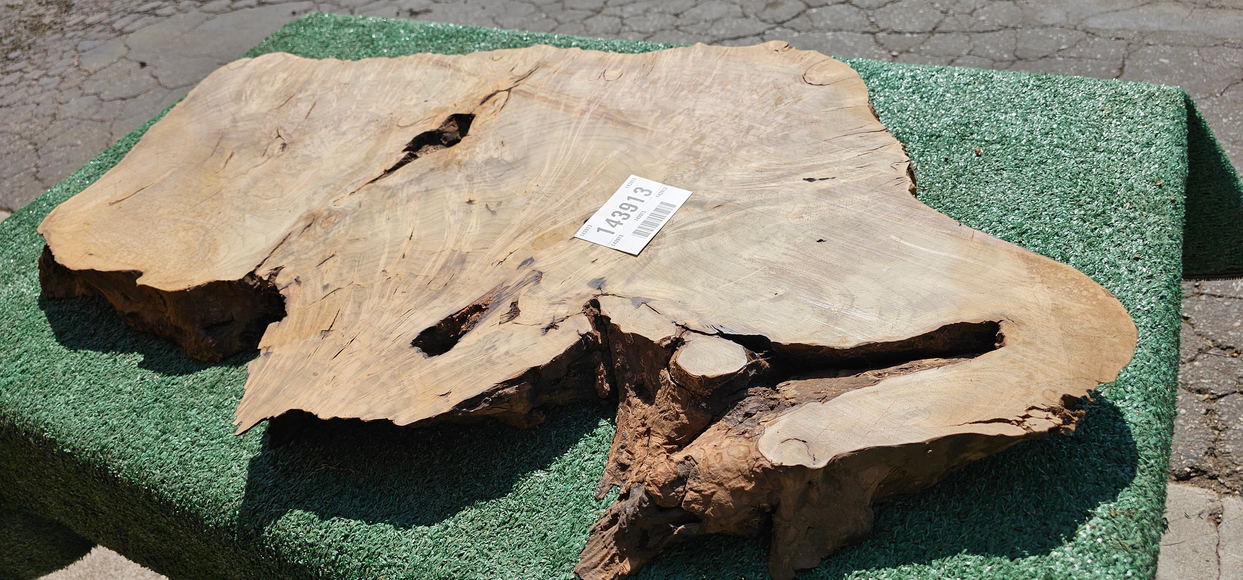 Bay Laurel Burl # 143913