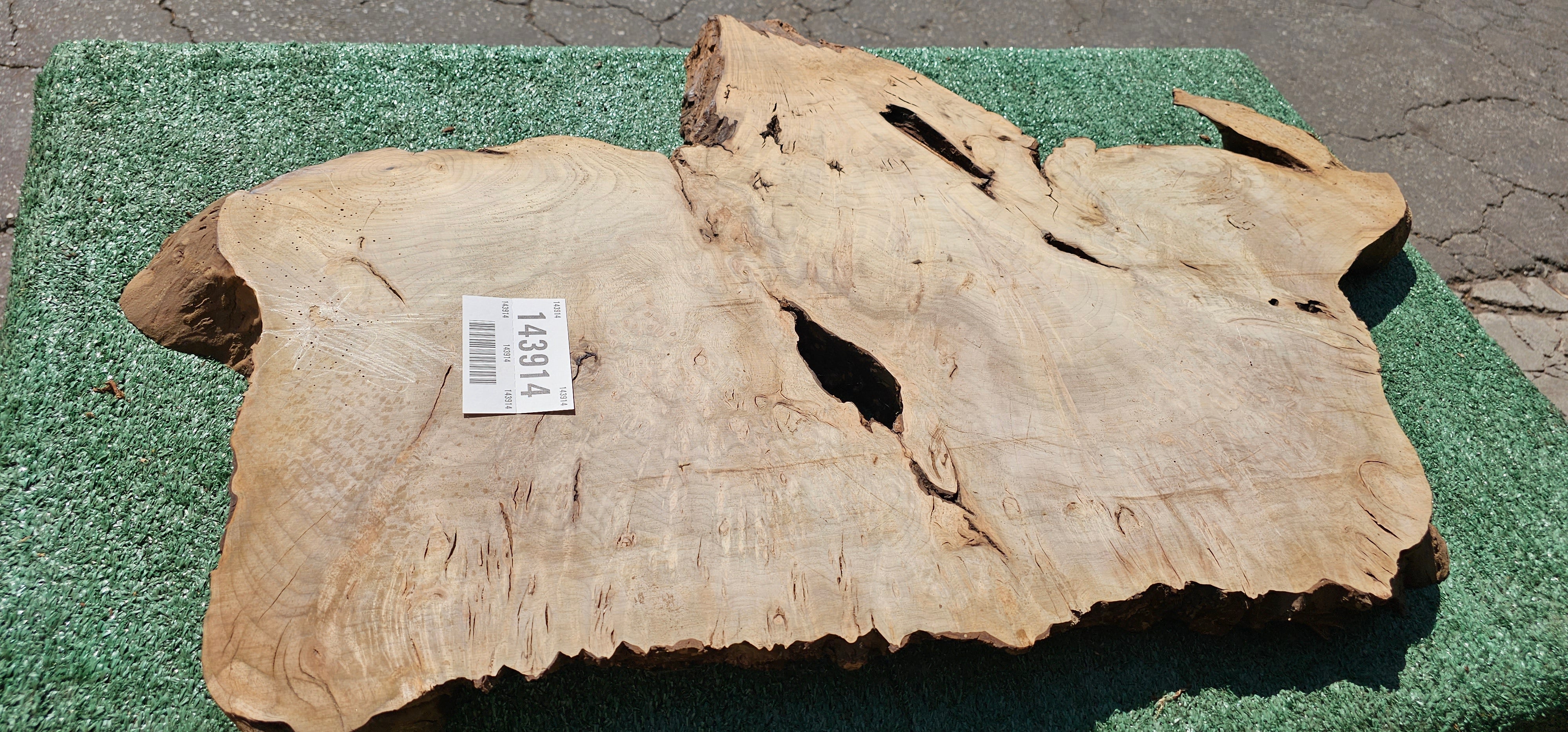 Bay Laurel Burl # 143914