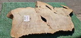 Bay Laurel Burl # 143914