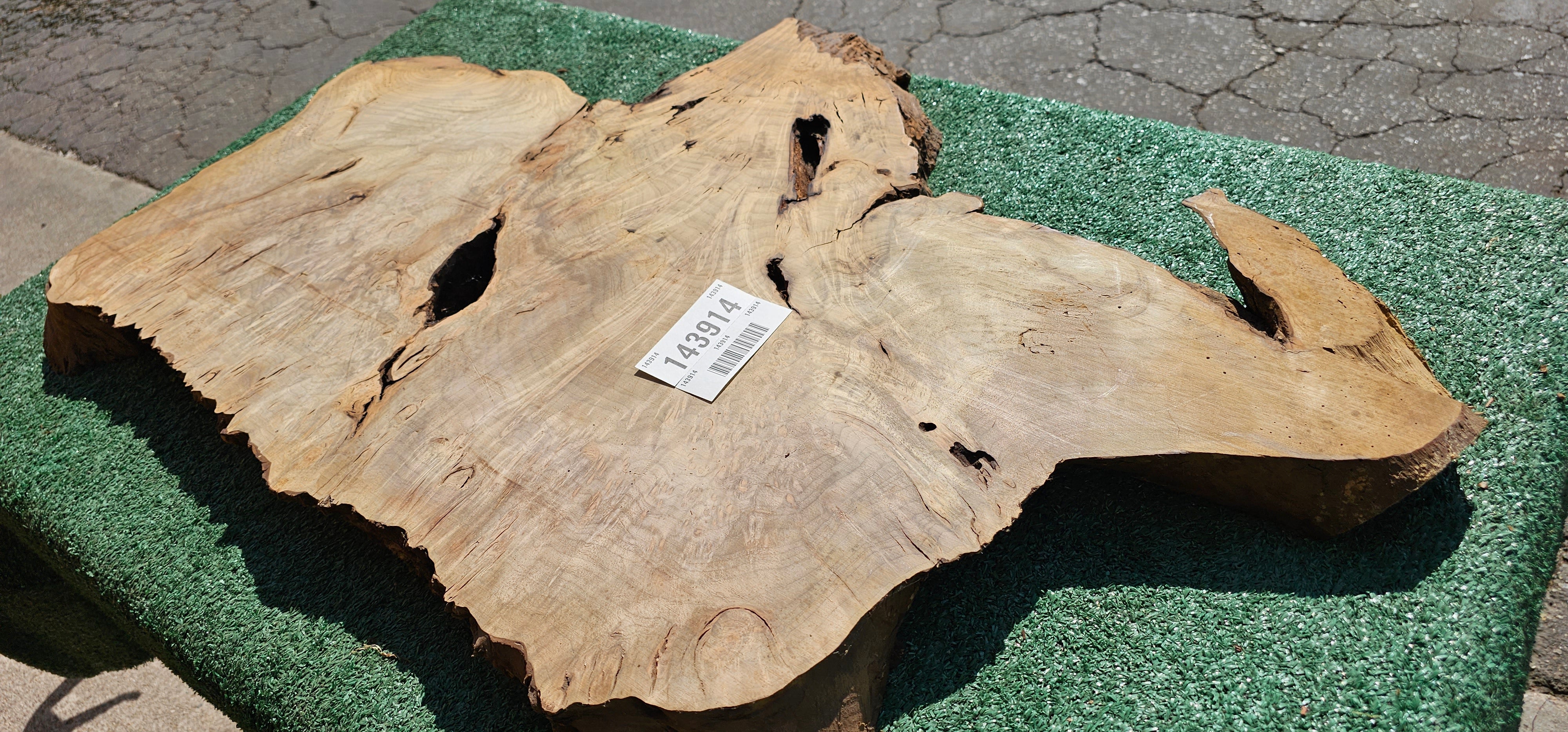 Bay Laurel Burl # 143914