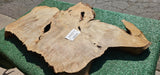 Bay Laurel Burl # 143914