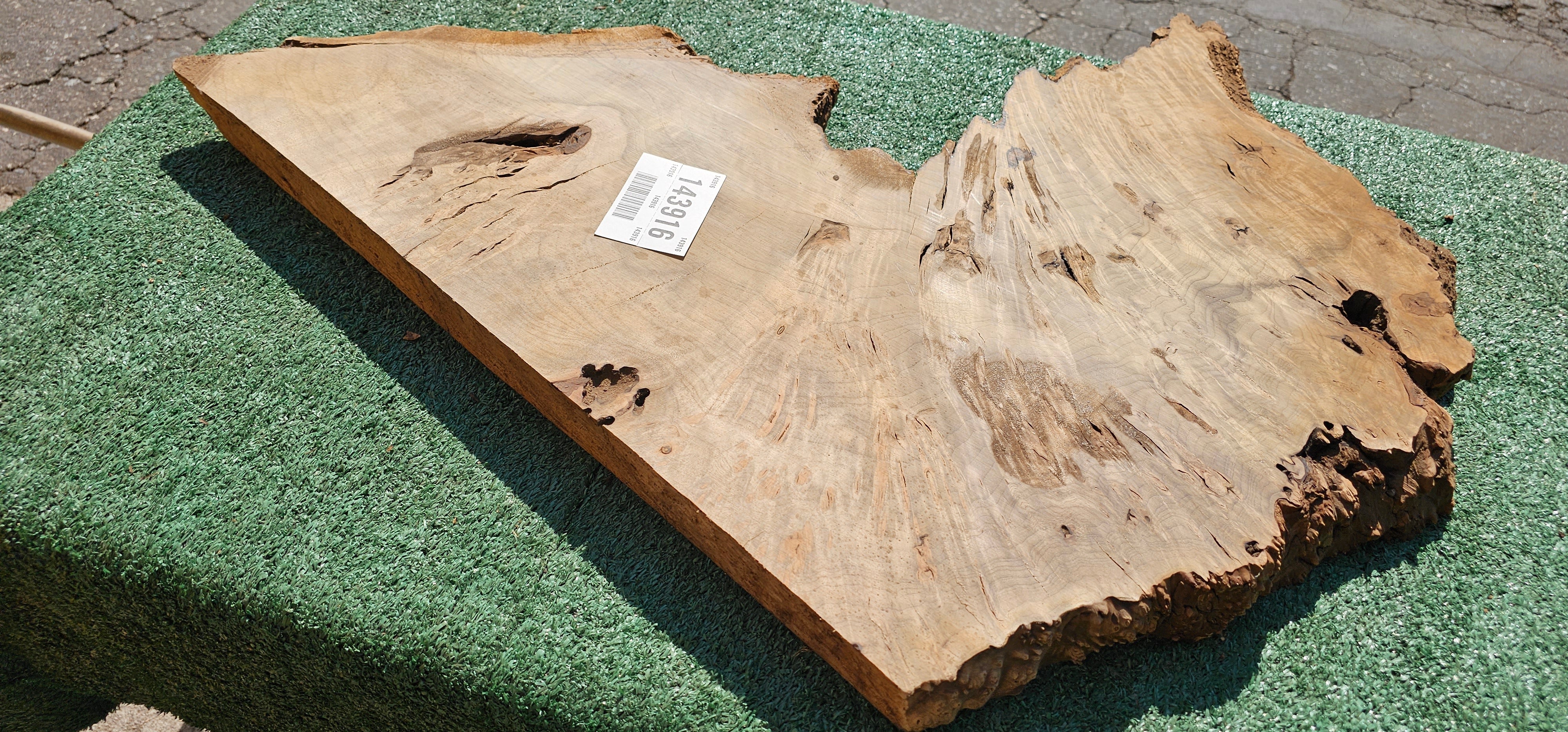 Bay Laurel Burl # 143916
